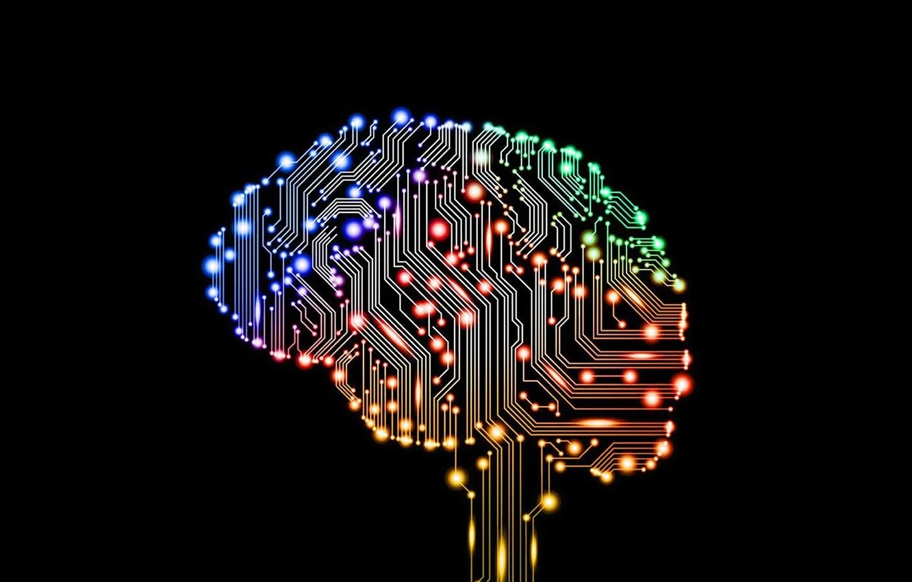 Pans Pandas Foundation Ireland